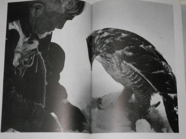 Photo3: Japanese photo book - The last Falconry of HIROMI NOZAWA - 1982 Hawker Falconer (3)
