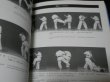 Photo2: Japanese Martial Arts Book - Kyokushin Karate Bible of KENJI MIDORI (2)