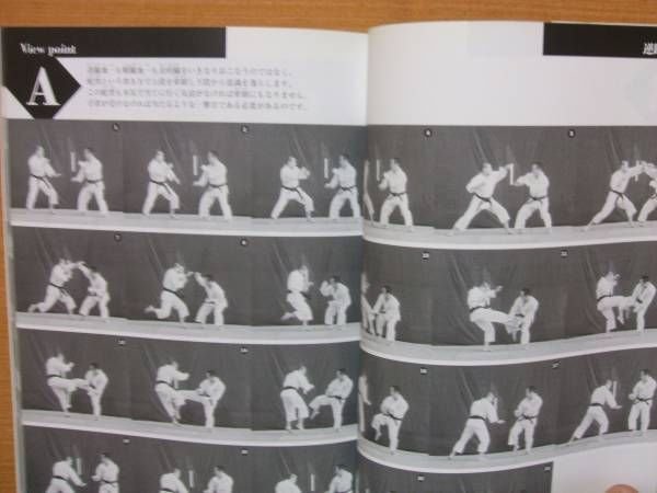 Photo2: Shorinji Kempo Illustration Photo Book - sequence photographs GOHO (2)