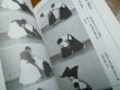 Photo2: Japanese Martial Arts Book - Traditional Japanese martial arts Shintei (2)