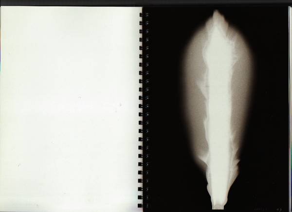 Photo2: japanese edition photo book - HIROSHI SUGIMOTO: In Praise of Shadows (2)
