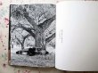 Photo2: Japanese EIKOH HOSOE Works Book  - Genzai no yukue (2)