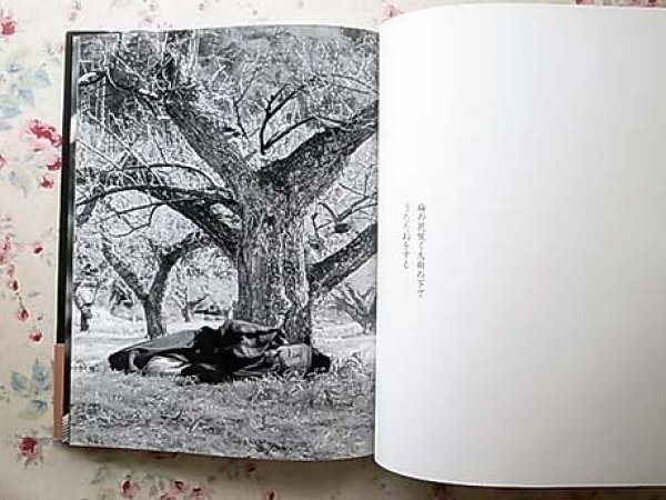 Photo2: Japanese EIKOH HOSOE Works Book  - Genzai no yukue (2)