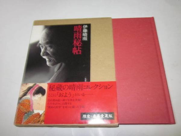 Photo1: Japanese book - by Seiu Ito (Author) - grotesque semea kinbaku shibari (1)