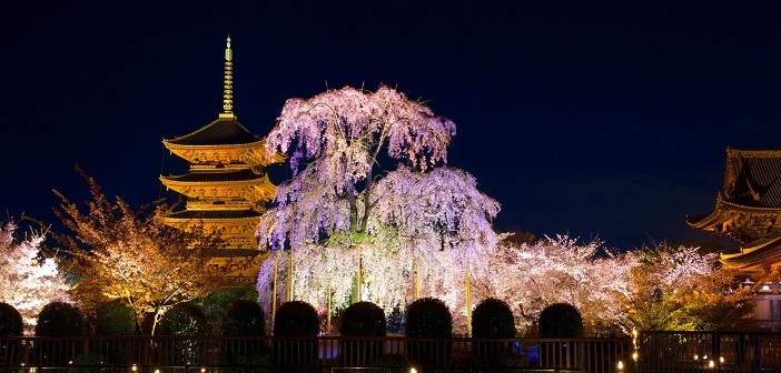 Japanese goods Specialized Shop -I will propose the products